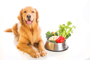 Zöldséget a kutyának?