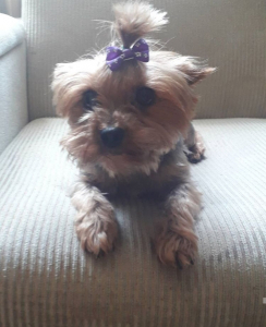 Gina