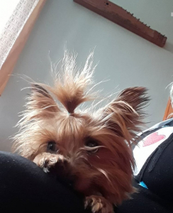 Gina