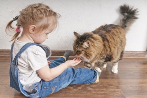 5 tipp a cicák és a gyerekek békés együttéléséhez