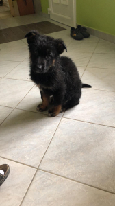 Jack