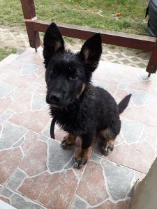 Jack