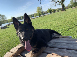 Jack