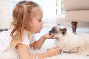 Hogyan tud segíteni a gyerek a cica gondozásában?
