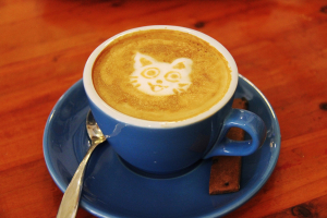 Ihat-e kávét a cica?