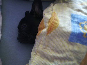 Diego