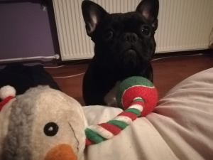 Diego