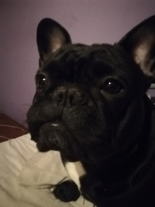 Diego