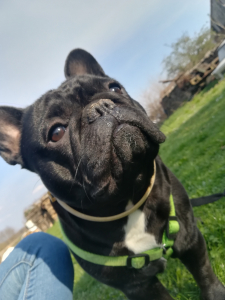 Diego