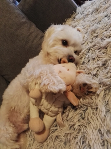 Roni