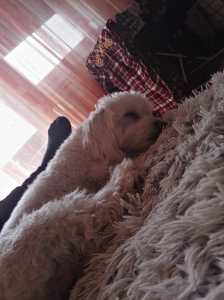 Roni