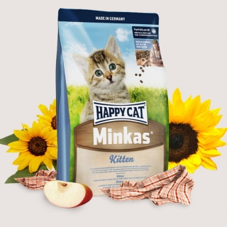 Happy Cat Minkas Kitten
