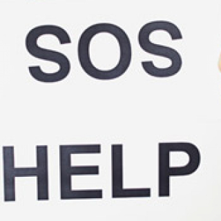 Gyors lehetőség mindenkin