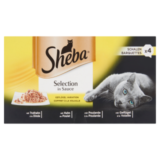 Sheba Szárnyas Falatok