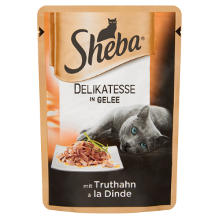 Sheba alutasakos pulykával aszpikban
